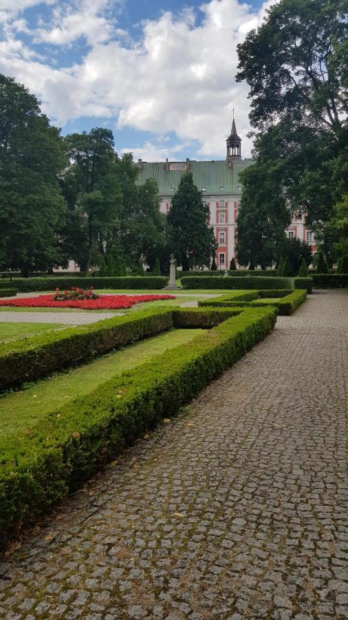 Chopin Park Lux Apartment, Self Check-In 24H, Free Parking, Air-Conditioning Poznań Eksteriør bilde